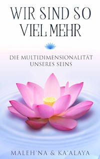 Wir sind so viel mehr - Ramona Maleh'na Prillwitz - ebook