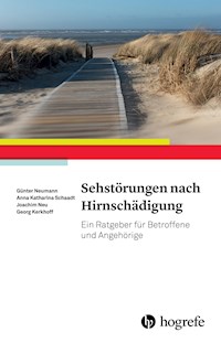 Sehstörungen nach Hirnschädigung - Günter Neumann - ebook
