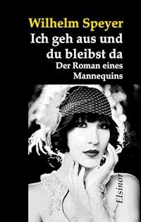 Ich geh aus und du bleibst da - Wilhelm Speyer - ebook