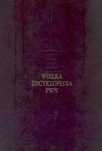 Wielka Encyklopedia PWN Tom 25 -  - książka