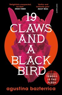 Nineteen Claws and a Black Bird - Bazterrica Agustina - ebook