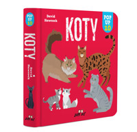 Koty. POP-UP 10 - David Hawcock - książka
