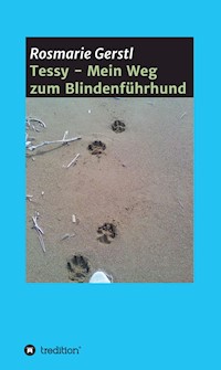 Tessy - Mein Weg zum Blindenführhund - Rosmarie Gerstl - ebook