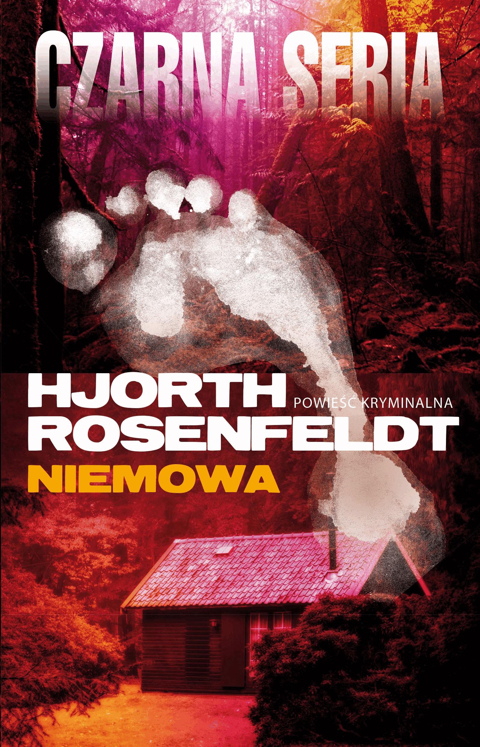 Sebastian Bergman. Niemowa