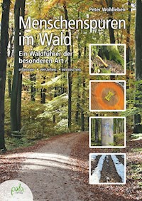 Menschenspuren im Wald - Peter Wohlleben - ebook