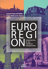 Euroregion Od partnerstwa do sieci współpracy transgranicznej - Frątczak-Müller Joanna, Mielczarek-Żejmo Anna - książka