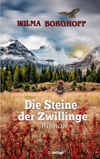 Die Steine der Zwillinge - Wilma Borghoff - ebook