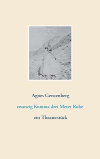 zwanzig Komma drei Meter Ruhe - Agnes Gerstenberg - ebook