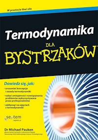 Termodynamika dla bystrzaków - Pauken Michael - książka
