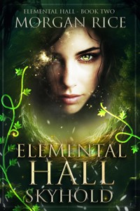 Elemental Hall: Skyhold (Elemental Hall—Book Two) - Rice Morgan - ebook