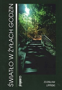 Światło w żyłach godzin - Lipiński Zdzisław - książka