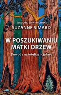 W poszukiwaniu Matki Drzew Dowody na inteligencję lasu - Simard Suzanne - książka