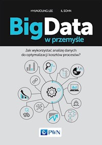 Big Data w przemyśle - Hyunjoung Lee, Il Sohn - książka