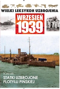 Statki uzbrojone Flotylli Pińskiej -  - książka