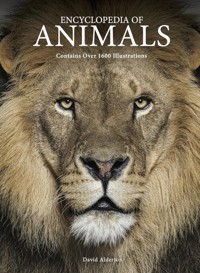 Encyclopedia of Animals - Alderton David - książka