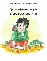 Neue Abenteuer mit Nepomuck und Finn - Britta Kummer - ebook