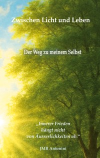Zwischen Licht und Leben - JMR Antonini - ebook