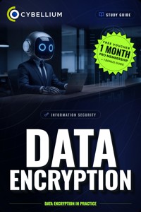 Data Encryption - Cybellium - ebook