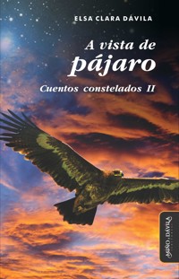 A vista de pájaro - Elsa Clara Dávila - ebook