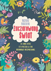 Zaczarowany świat - Bożena Balcerek - książka