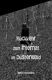 Rückkehr zum Internat im Düsterwald - Marco Schönbach - ebook