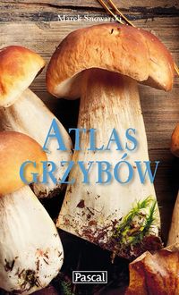 Atlas grzybów - Snowarski Marek - książka