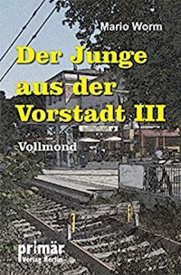 Der Junge aus der Vorstadt III - Mario Worm - ebook