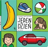 Jeden dzień - Mizielińska Aleksandra, Mizieliński Daniel - książka