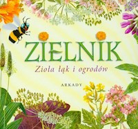Zielnik Zioła łąk i ogrodów - Garbarczyk Henryk - książka
