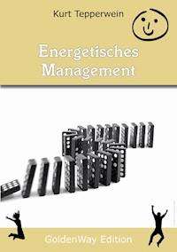 Energetisches Management - Kurt Tepperwein - ebook