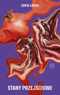 Stany przejściowe - Lorek Zofia - ebook + książka