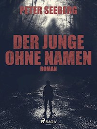 Der Junge ohne Namen - Peter Seeberg - ebook