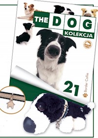 Dog Kolekcja 21 Border Collie -  - książka