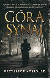 Góra Synaj - Krzysztof Koziołek - książka