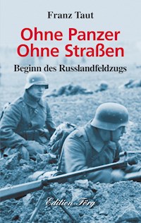 Ohne Panzer Ohne Straßen - Franz Taut - ebook