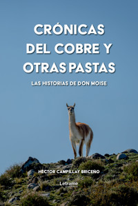 Crónicas del cobre y otras pastas - Héctor Campillay briceño - ebook