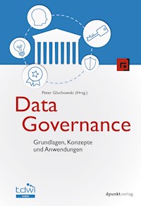 Data Governance - Peter Gluchowski - ebook