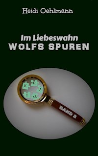 Im Liebeswahn - Heidi Oehlmann - ebook