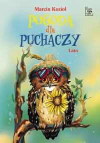 Pogoda dla puchaczy. Lato - Marcin Kozioł - książka