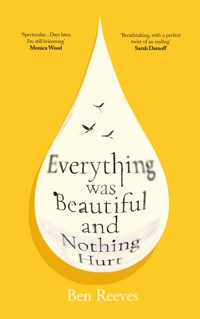 Everything was Beautiful and Nothing Hurt - Ben Reeves - ebook