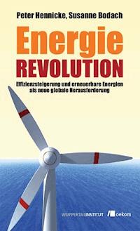 Energierevolution - Peter Hennicke - ebook