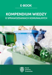 Kompendium wiedzy o sprawozdaniach komunalnych - Małgorzata Hain-Kotowska  - ebook