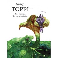 Toppi Tom 1 Zaczarowany świat - Sergio Toppi - książka