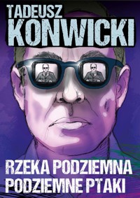 Rzeka podziemna, podziemne ptaki - Tadeusz Konwicki - ebook