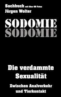 Sodomie - Jürgen Wolter - ebook