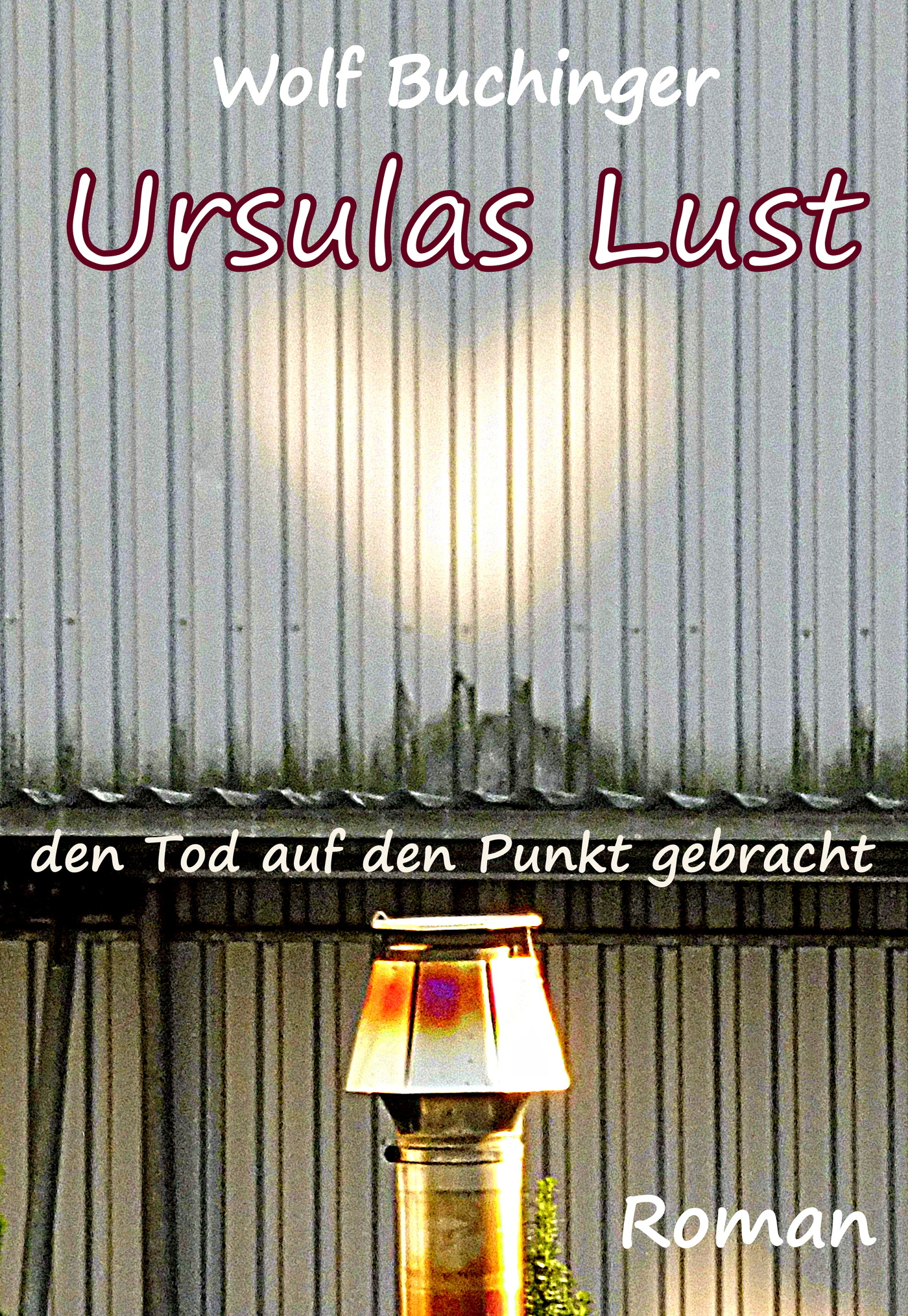 Ursulas Lust - Wolf Buchinger - ebook