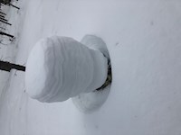 A childhood i barely survivde, thougt i had the odds against me. - Terese Hall - ebook