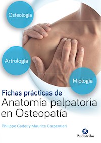 Fichas prácticas de anatomía palpatoria en osteopatía (Color) - Philippe Gadet - ebook