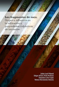 Los fragmentos de roca. Origen e influencia en la infiltración y propiedades hidráulicas de los suelos - Julián Leal Villamil - ebook