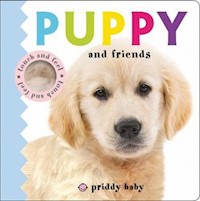 Priddy Baby Puppy & Friends Touch and Feel - Priddy  Roger - książka